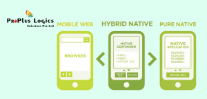 Hybrid Web App