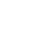 WORDPRESS Icon